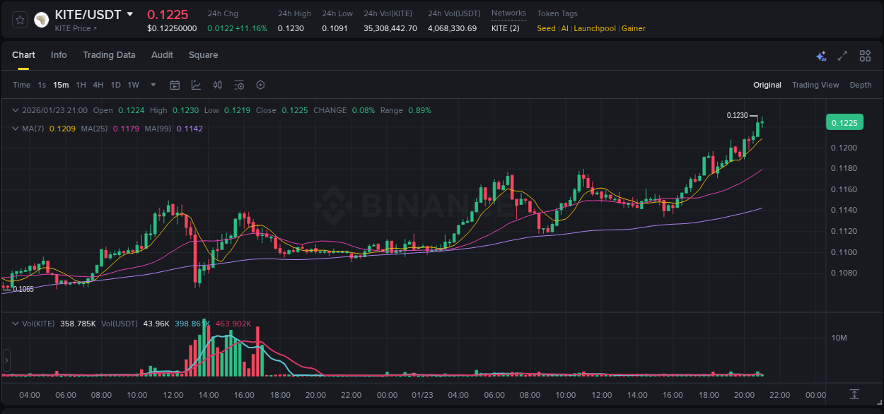 Access Binance pump statistics for KITE at 23 January 2026, 21:10 Binance pump statistics for KITE at 23 January 2026, 21:10