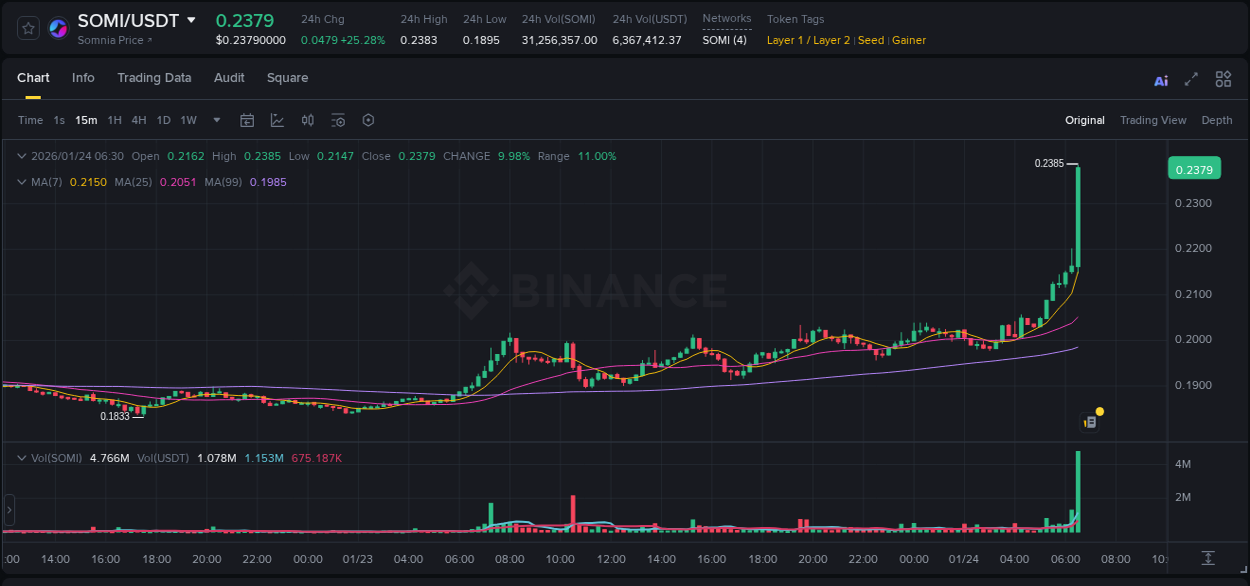 Binance pump data for SOMI at 24 January 2026, 06:41 Binance pump data for SOMI at 24 January 2026, 06:41