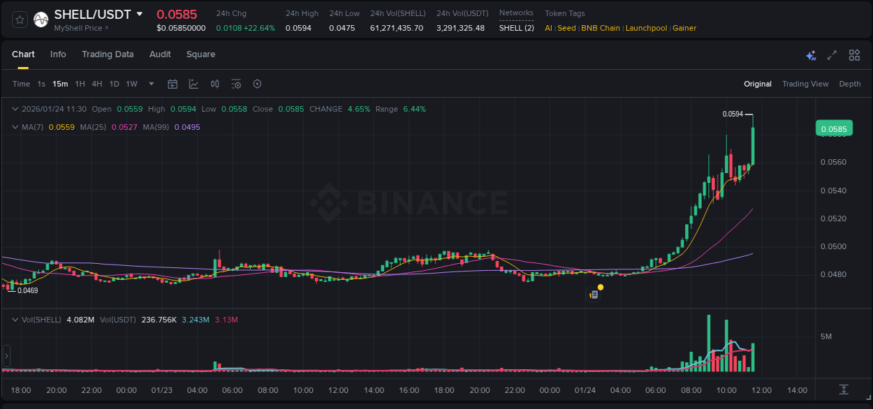 View the trading report for SHELL pump on Binance, 24 January 2026, 11:35 Binance trading data for SHELL pump, 24 January 2026, 11:35