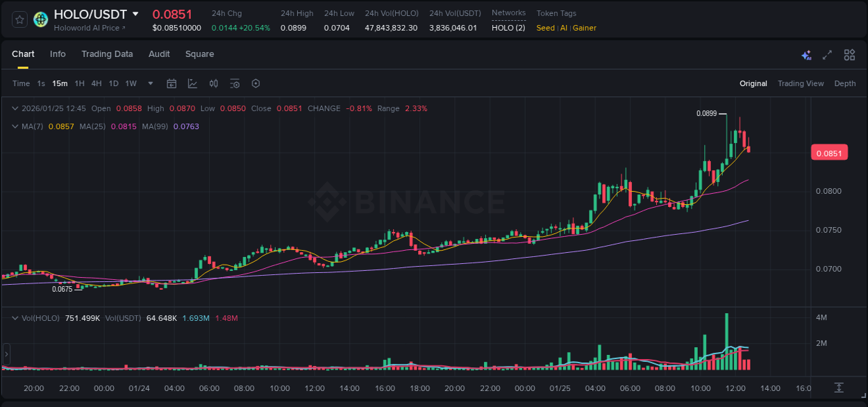 View the exchange pump report for HOLO on Binance, 25 January 2026, 11:37 Binance exchange trading report for HOLO, 25 January 2026, 11:37