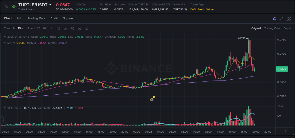 Dive into pump insights for TURTLE on Binance, 25 January 2026, 18:48 Crypto pump insights for TURTLE on Binance, 25 January 2026, 18:48