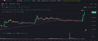 report 20260131 0314 - Report of coin pump on Binance - 31 January 2026