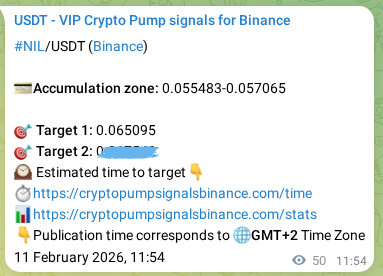 Real-time proof of NIL pump signal on Binance, 11 February 2026, 12:47