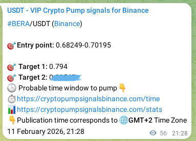Trading signal confirmation: BERA pump on Binance at 11 February 2026, 22:47