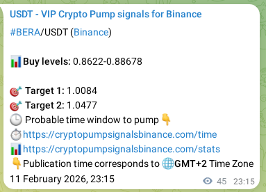 BERA pump signal verification from Binance, timestamp: 12 February 2026, 00:07