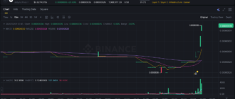 report 20260201 0348 - Report of coin pump on Binance (BTC pairs) - 01 February 2026