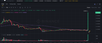 report 20260202 0203 - Report of coin pump on Binance - 02 February 2026