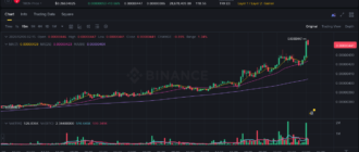 report 20260206 0216 - Report of coin pump on Binance (BTC pairs) - 06 February 2026