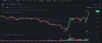 report 20260206 0344 - Report of coin pump on Binance - 06 February 2026