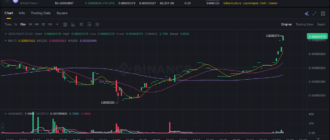report 20260207 0303 - Report of coin pump on Binance (BTC pairs) - 07 February 2026