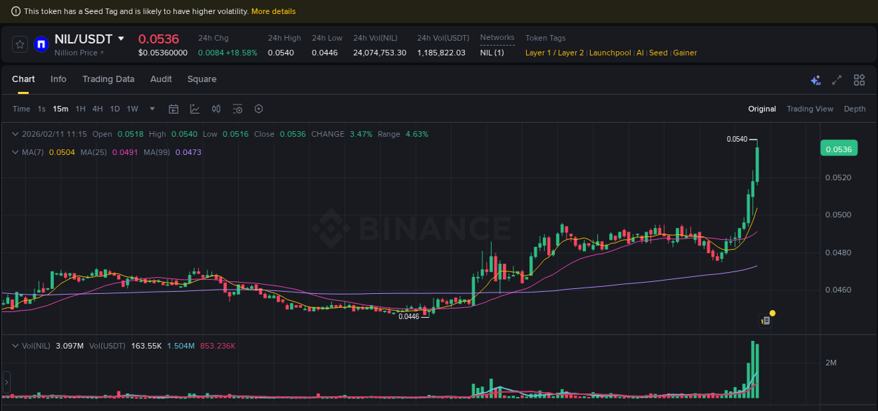 Market analysis: NIL pump on Binance at 11 February 2026, 11:19