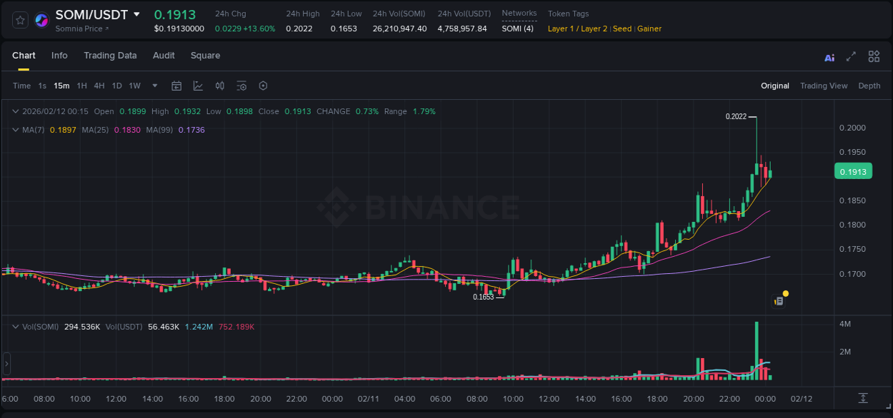 Analyze the crypto trading report for SOMI pump on Binance, 11 February 2026, 23:34 Crypto trading analysis: SOMI pump on Binance, 11 February 2026, 23:34