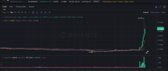 report 20260212 0003 - Report of coin pump on Binance - 12 February 2026
