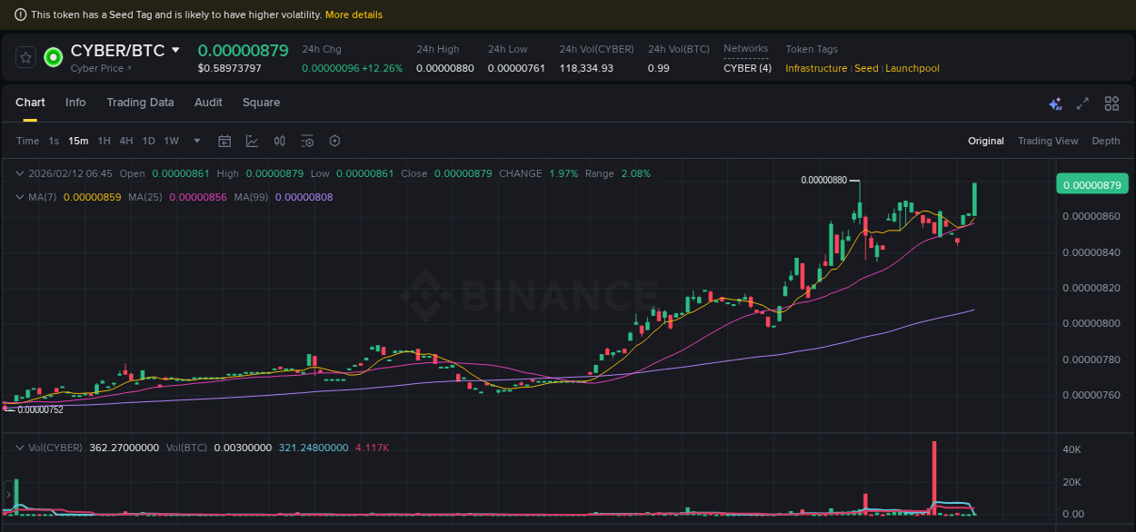 Detailed report of CYBER's pump on Binance at 12 February 2026, 06:54