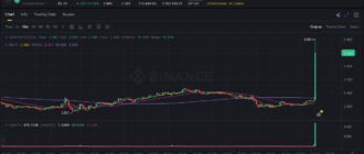 report 20260213 0201 - Report of coin pump on Binance - 13 February 2026