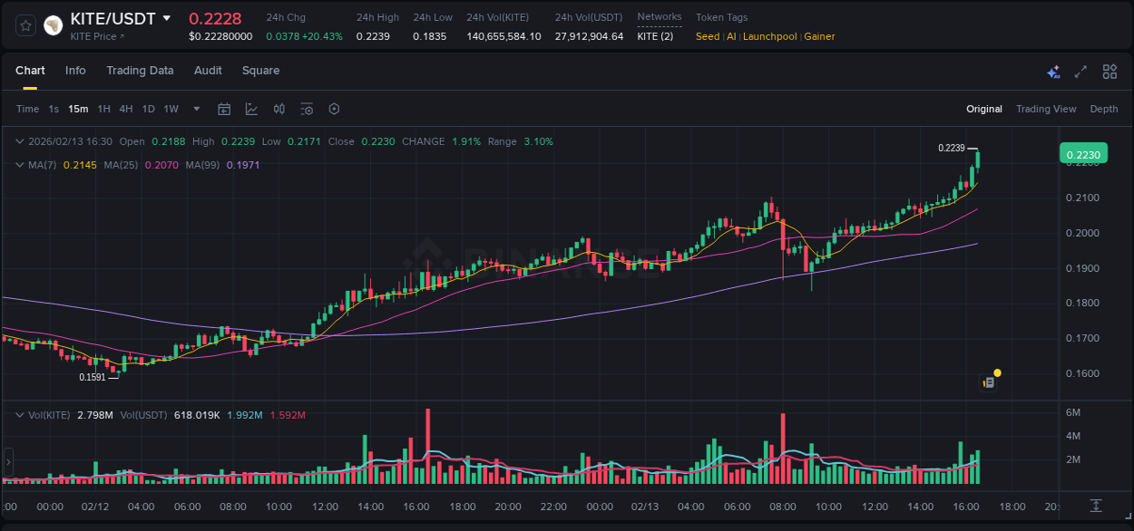 Analysis of KITE pump activity on Binance at 13 February 2026, 16:39
