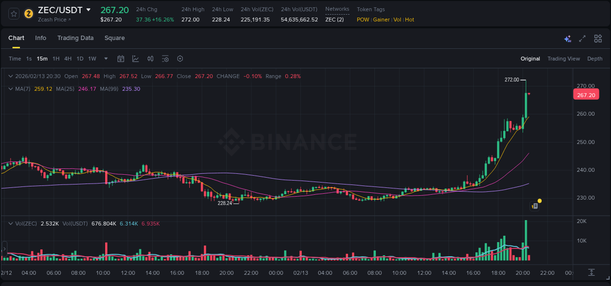 Crypto market report: ZEC pump on Binance, 13 February 2026, 20:24
