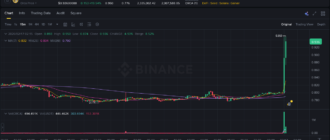 report 20260217 0224 - Report of coin pump on Binance - 17 February 2026