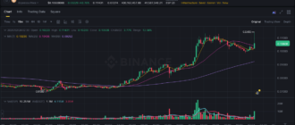 report 20260224 0242 - Report of coin pump on Binance - 24 February 2026