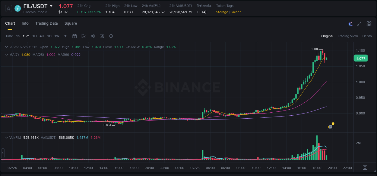 Binance pump overview for FIL, captured at 25 February 2026, 17:47
