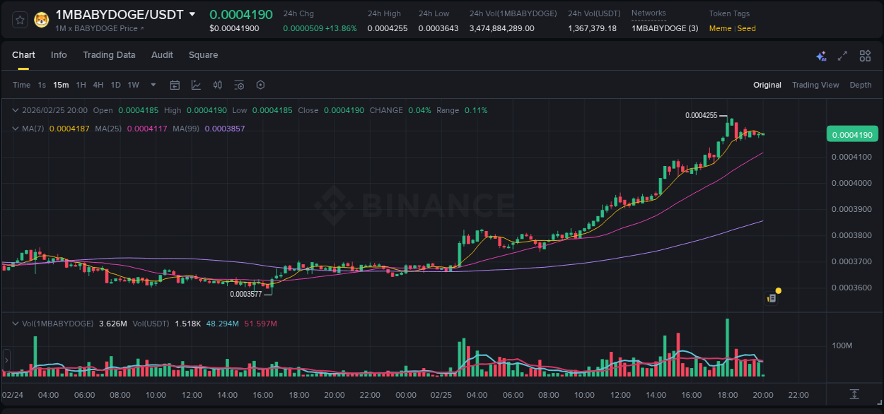 Crypto market report: 1MBABYDOGE pump on Binance, 25 February 2026, 18:06