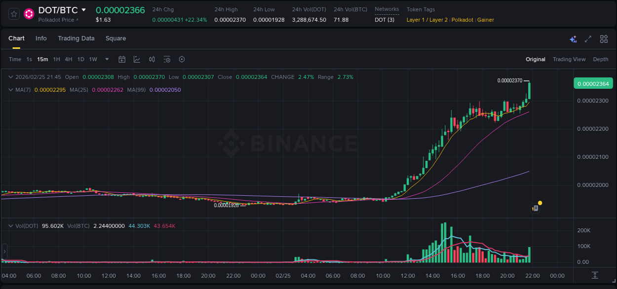 Crypto pump report: Dive into DOT on Binance, 25 February 2026, 21:56 Crypto pump report: DOT on Binance, 25 February 2026, 21:56