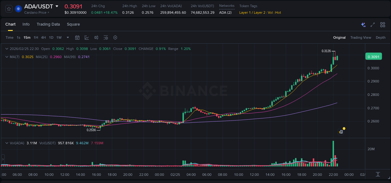 Binance pump statistics for ADA at 25 February 2026, 22:03