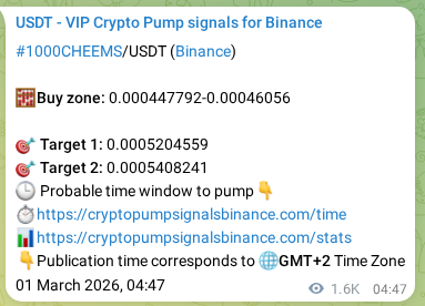 Confirm the trading signal for 1000CHEEMS pump on Binance at 03 March 2026, 00:28 Trading signal confirmation: 1000CHEEMS pump on Binance at 03 March 2026, 00:28