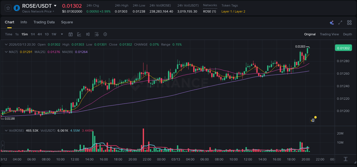 Access trading analytics for ROSE pump report from Binance, 13 March 2026, 20:31 Trading analytics: ROSE pump report from Binance, 13 March 2026, 20:31