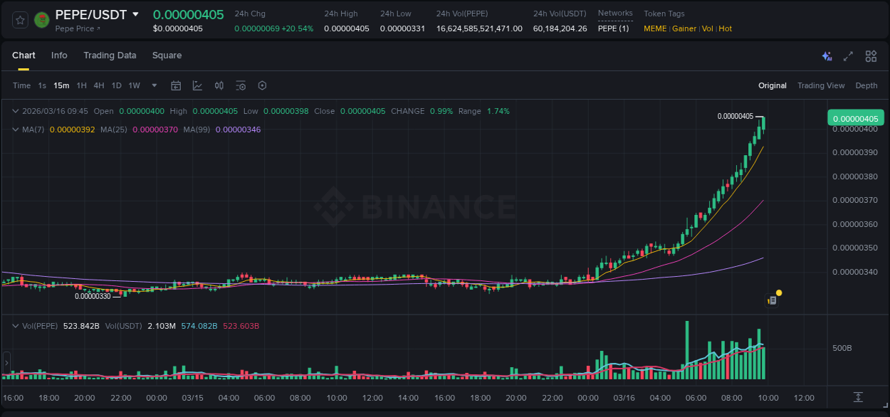 Binance pump data for PEPE at 16 March 2026, 09:56 Binance pump data for PEPE at 16 March 2026, 09:56