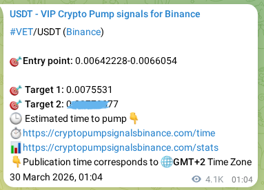 Real-time proof of VET pump signal on Binance, 04 April 2026, 09:04