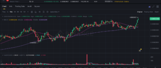 report 20260604 0003 - Report of coin pump on Binance (BTC pairs) - 04 June 2026